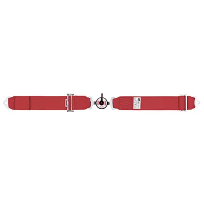 Camlock Lap Seatbelt