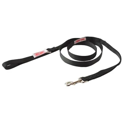SIMPSON DOG LEASH