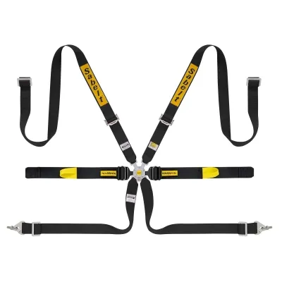SABELT 6-POINT FIA 8853-2016 PULL UP