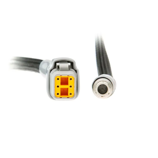 RN CAN KABEL 12V