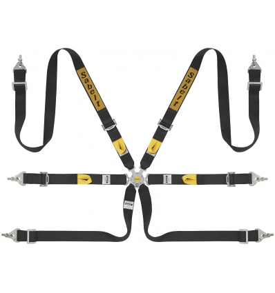 SABELT 6-POINT FIA 8853-2016 PULL UP